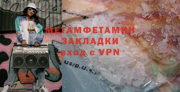 индика Вяземский