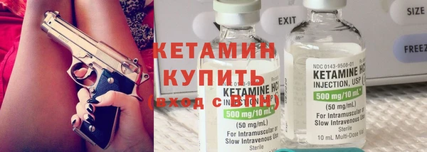 индика Вяземский
