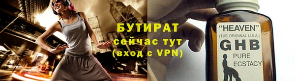 индика Вяземский