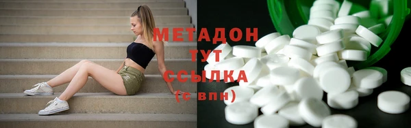 индика Вяземский
