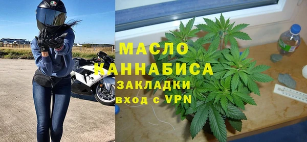 индика Вяземский