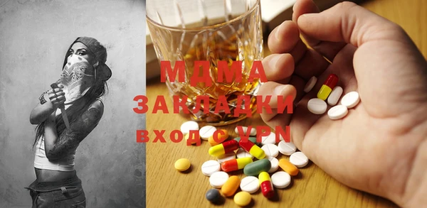 индика Вяземский