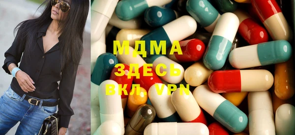 индика Вяземский