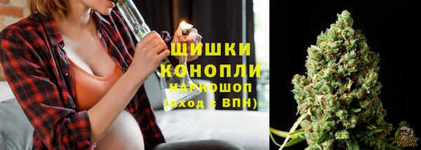 мдпв Володарск