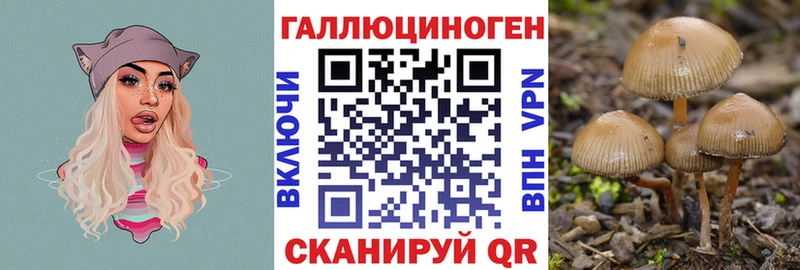 Купить  Таруса  Псилоцибиновые грибы мицелий 